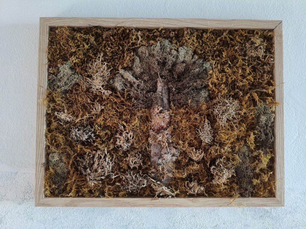 A preserved moss art featuring a tree in a wooden frame
