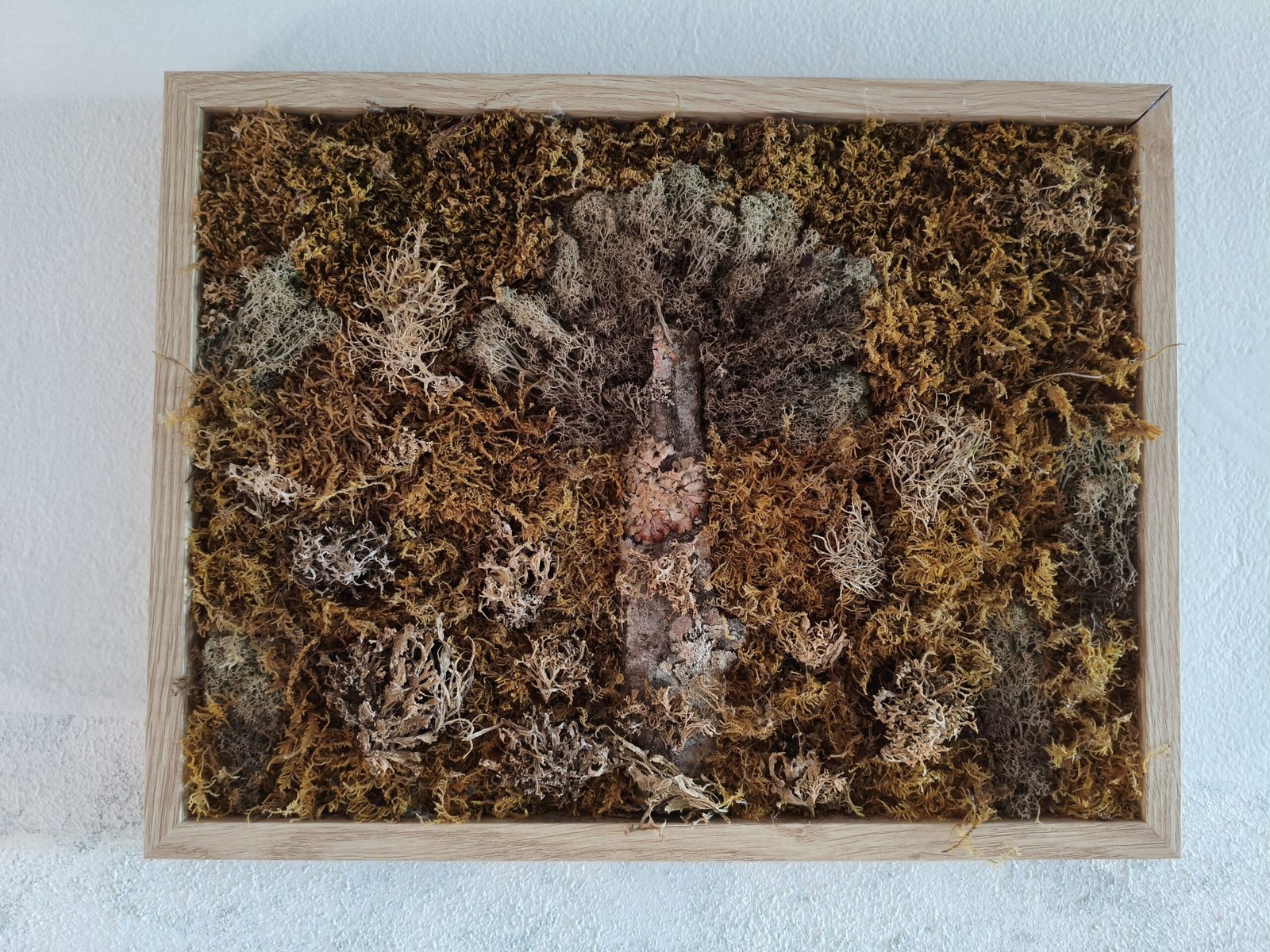 A preserved moss art featuring a tree in a wooden frame